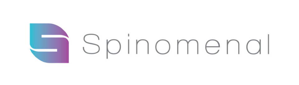 Développeur de jeux Spinomenal sur internet en France